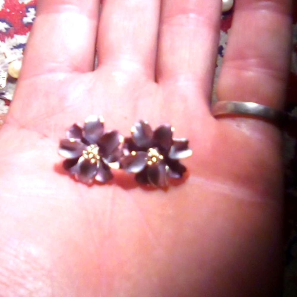 Sterling silver earings